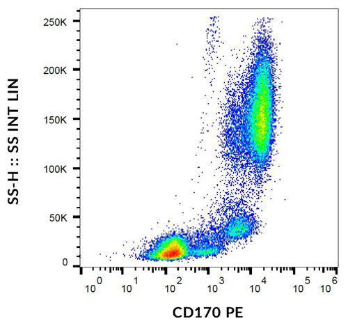 Anti-Human CD170 PE (Clone : 1A5)