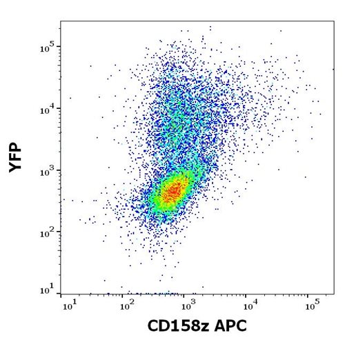 Anti-Human CD158z APC MAb(Clone :CH21)