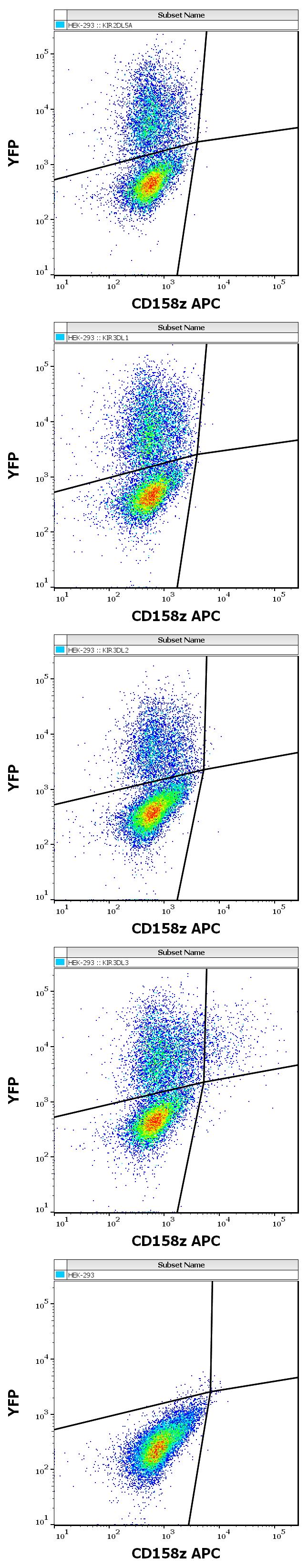 Fig 2: Flow cytometry surface staining patterns of non-transfected HEK-293 cells and HEK-293 cells transfected with KIR-family coding plasmids co-transfected with YFP coding plasmid using anti-human CD158z (CH21) APC antibody (concentration in sample 10 μg/ml).