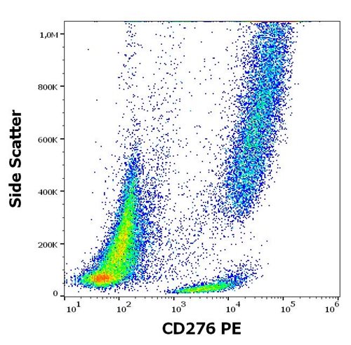 Anti-Human CD276- PE Conjugated Monoclonal Antibody (Clone: 7-517) Anti-Human CD276- PE Conjugated Monoclonal Antibody (Clone: 7-517)