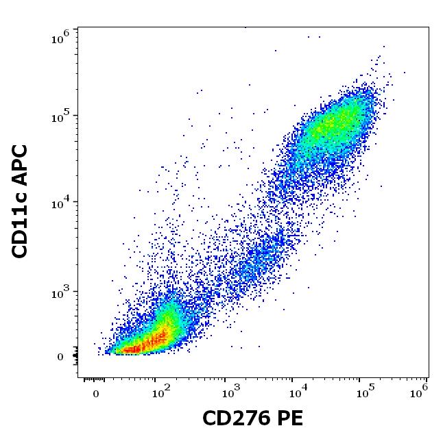 Anti-Human CD276- PE Conjugated Monoclonal Antibody (Clone: 7-517) Anti-Human CD276- PE Conjugated Monoclonal Antibody (Clone: 7-517)