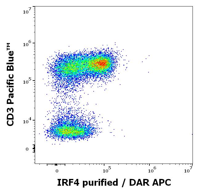 Anti-IRF4 Purified (Clone: 3E4) Anti-IRF4 Purified (Clone: 3E4)