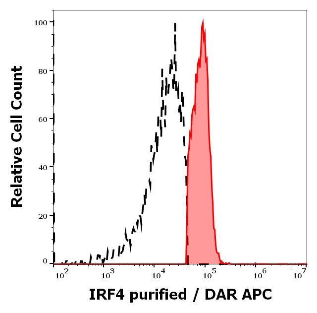Anti-IRF4 Purified (Clone: 3E4) Anti-IRF4 Purified (Clone: 3E4)