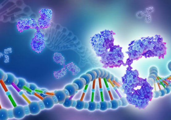 CASP2 Recombinant Protein