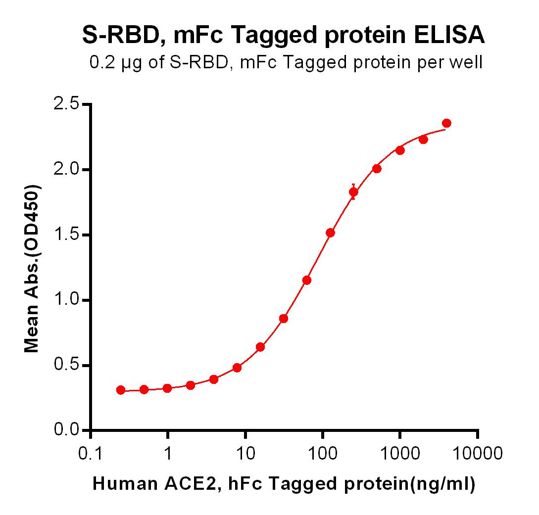 Recombinant SARS-CoV-2 (2019-nCoV) S protein RBD with C-terminal mouse Fc tag