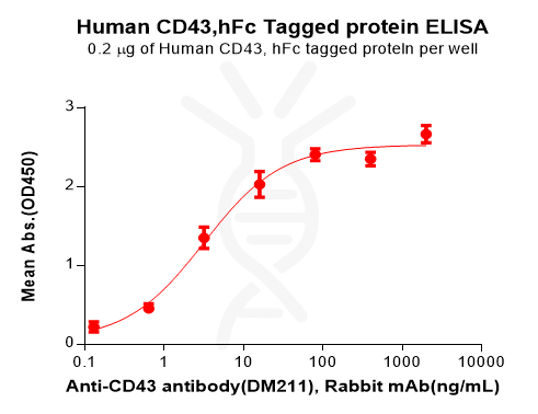 Recombinant human CD43 protein with C-terminal human Fc tag Recombinant human CD43 protein with C-terminal human Fc tag