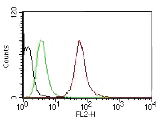 Monoclonal Antibody to Cytokeratin, pan (Epithelial Marker)(Clone : AE-1/AE-3)  Monoclonal Antibody to Cytokeratin, pan (Epithelial Marker)(Clone : AE-1/AE-3)