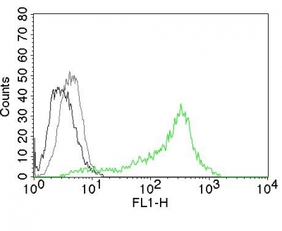 Flow Cytometry Nuclear staining of Human Nucleolin Ag on 293T Cells. Black: Cells alone; Grey: Isotype Control; Green: AF488-labeled Nucleolin Monoclonal Antibody (364-5).
