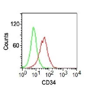 Anti-CD34 (Hematopoietic Stem Cell & Endothelial Marker) Monoclonal Antibody(Clone: ICO-115) Anti-CD34 (Hematopoietic Stem Cell & Endothelial Marker) Monoclonal Antibody(Clone: ICO-115)