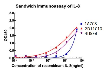 Figure-2 : Sandwich ELISA analysis of Human IL-8 Antibody (Clone: 4H7C7) on matched antibody pairs 1) ELISA plate was coated with Human IL-8 Antibody (4H7C7) 2) Human recombinant IL-8 protein at appropriate dilution was added into appropriate reaction wells 3) After a period of incubation, HRP conjugated Human IL-8 Antibody (Clone. 2D11C10,  3D4C3 and  4H8F8) was added followed by proper period of incubation.