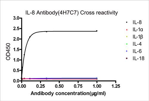 Figure-3 : ELISA analysis of Cross reactivity using Human IL-8 Antibody (Clone: 4H7C7).