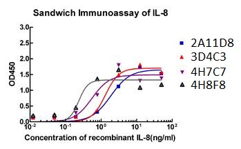 Figure-1 : Sandwich ELISA analysis of matched antibody pairs using IL-8 Antibody (Clone: 3B1A8),1) ELISA plate is coated with Human IL-8 Antibody, mAb, Mouse (3B1A8) 2) Human recombinant IL-8 protein at appropriate dilution is added into appropriate reaction wells 3) After a period of incubation, HRP conjugated Human IL-8 Antibody, mAb, Mouse (Clone. 2A11D8, 3D4C3, 4H7C7 and  4H8F8) is added followed by proper period of incubation.