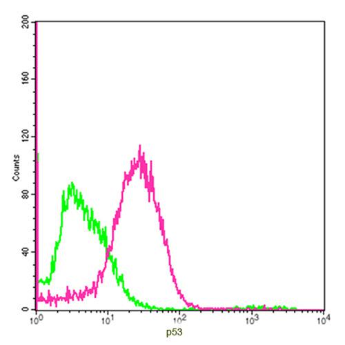 Figure-1 : Flow cytometric analysis of p53 Antibody (Clone: 5H7B9) on HEK293 cells at 2 µg for 1 x 10^6 cells. Red histogram represents p53 Antibody (Clone: 5H7B9) and green histogram represents isotype control.