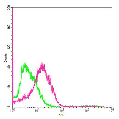 Figure-1 : Flow cytometric analysis of p53 Antibody (Clone: 5E8A3) on HEK293 cells at 2 µg for 1 x 10^6 cells. Red histogram represents p53 Antibody (Clone: 5E8A3) and green histogram represents isotype control.