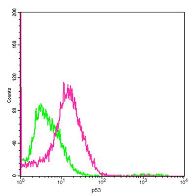 Figure-1 : Flow cytometric analysis of p53 Antibody (Clone: 6F2D3) on HEK293 at 2 µg for 1 x 10^6 cells. Red histogram represents p53 Antibody (Clone: 6F2D3) and green histogram represents isotype control.