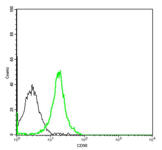 Rat Monoclonal Antibody to CD90 (Clone : 5A4D10)(Discontinued)