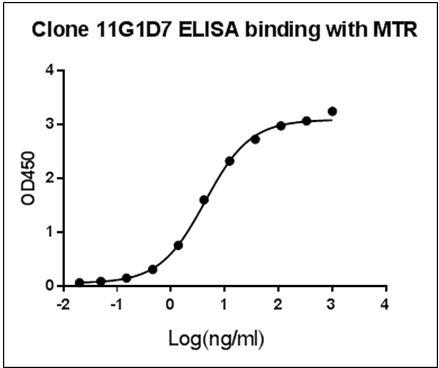 Mouse Monoclonal Antibody to Human MTR (Clone : 11G1D7)(Discontinued)
