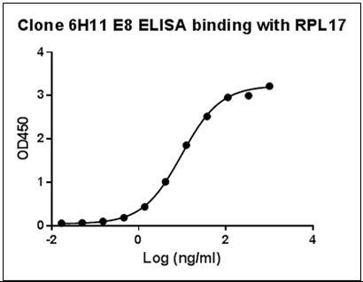 Mouse Monoclonal Antibody to Human RPL17 (Clone : 6H11E8)(Discontinued)