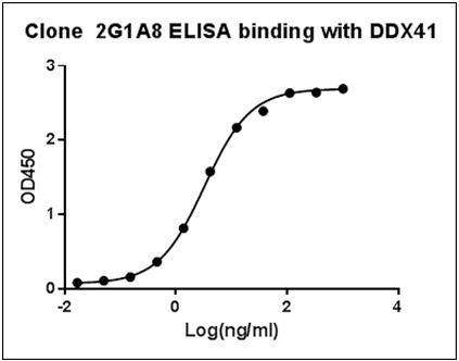Mouse Monoclonal Antibody to Human DDX41 (Clone : 2G1A8)(Discontinued)