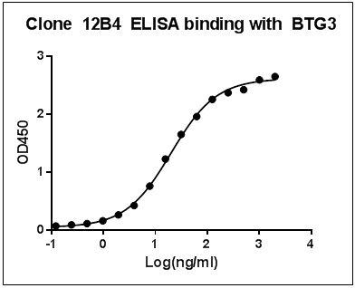 Mouse Monoclonal Antibody to Human BTG3 (Clone : 12B4)(Discontinued)