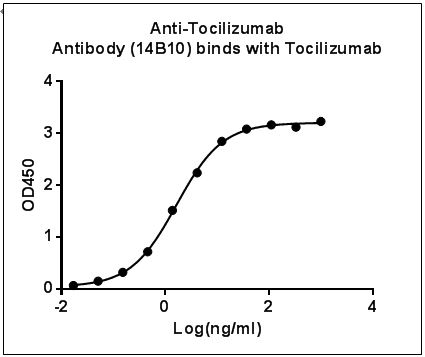 Figure-1 : ELISA binding of Anti-Tocilizumab Antibody (14B10) with Tocilizumab. While the antibody does not recognize the human IgG (data not shown).Coating antigen: Tocilizumab, 1 μg/ml.
Anti-Tocilizumab Antibody (14B10) dilutions start from 1,000 ng/ml.
EC50=1.653 ng/ml.