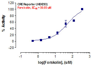 CRE Reporter Assay