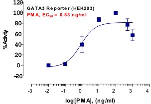 GATA3 Reporter Assay