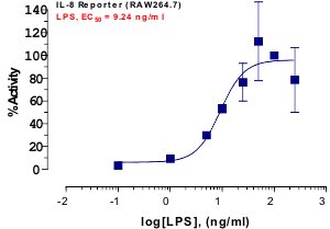 IL-8 Reporter Assay