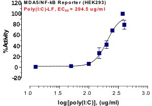 MDA5 Reporter Assay