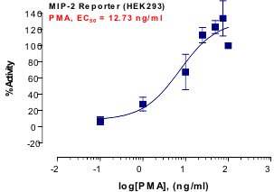 MIP-2 Reporter Assay