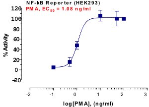 NF-kB Reporter Assay