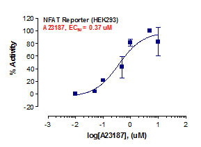 NFAT Reporter Assay