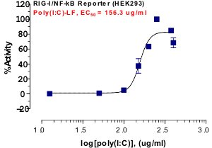 RIG-I Reporter Assay