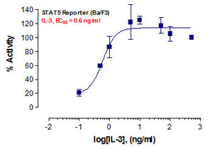 STAT5 Reporter Assay