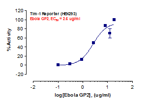 Tim-1 Reporter Assay