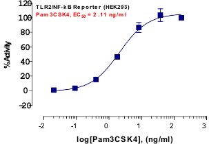 TLR2 Reporter Assay