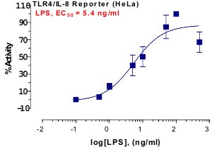 TLR4 Reporter Assay