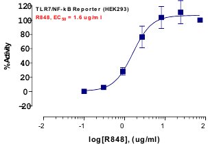 TLR7 Reporter Assay