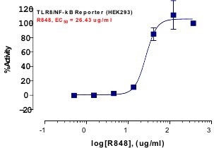 TLR8 Reporter Assay