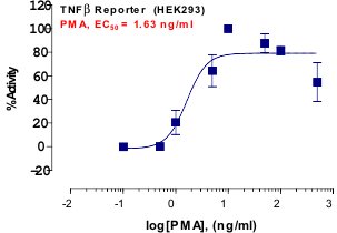 TNF-beta Reporter Assay