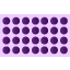 Tissue Microarray