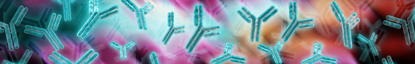 Antibodies