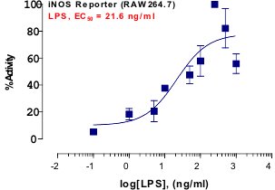 iNOS Reporter Assay