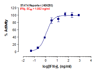 STAT4 Reporter Assay