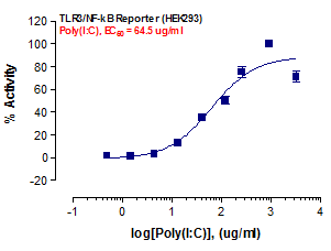 TLR3 Reporter Assay