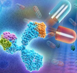 
Custom Recombinant Antibody and Biosimilar