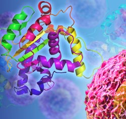 
Recombinant Protein Expression Services