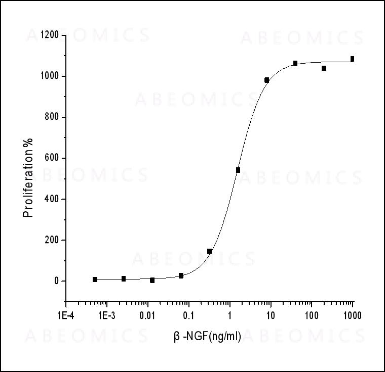 Human betaNGF / BetaNGF Recombinant Protein